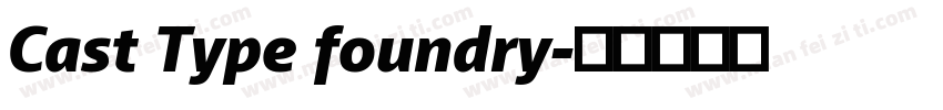 Cast Type foundry字体转换